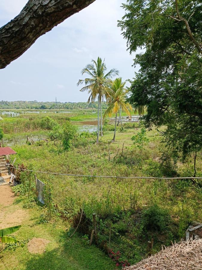 Three Little Birds Hotel Tangalle Luaran gambar