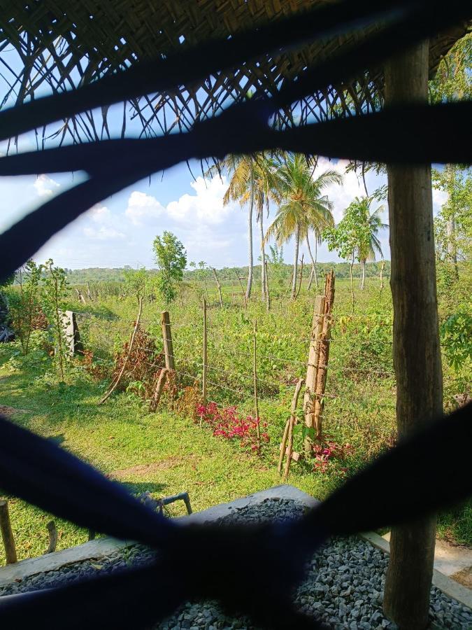 Three Little Birds Hotel Tangalle Luaran gambar
