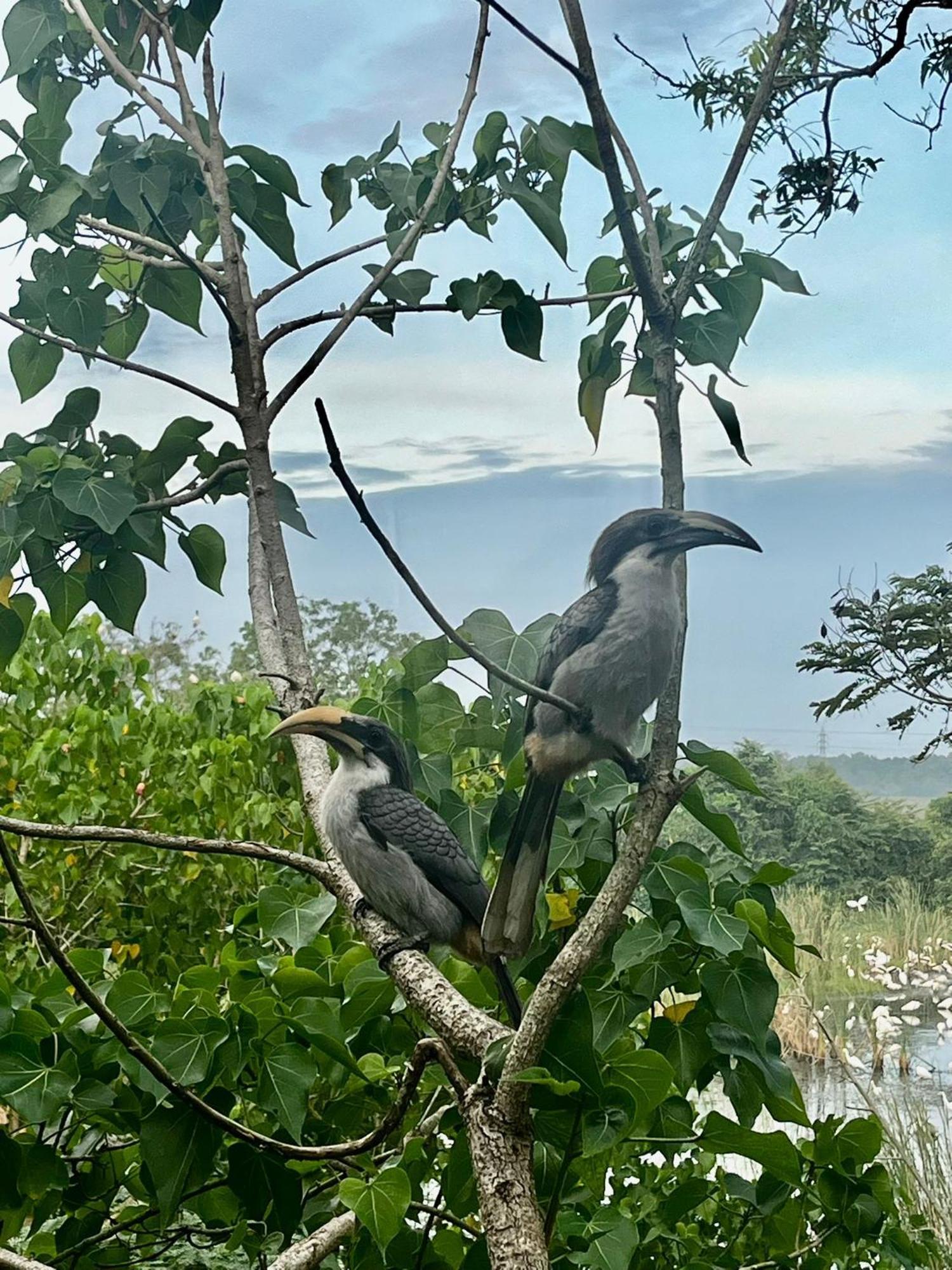 Three Little Birds Hotel Tangalle Luaran gambar