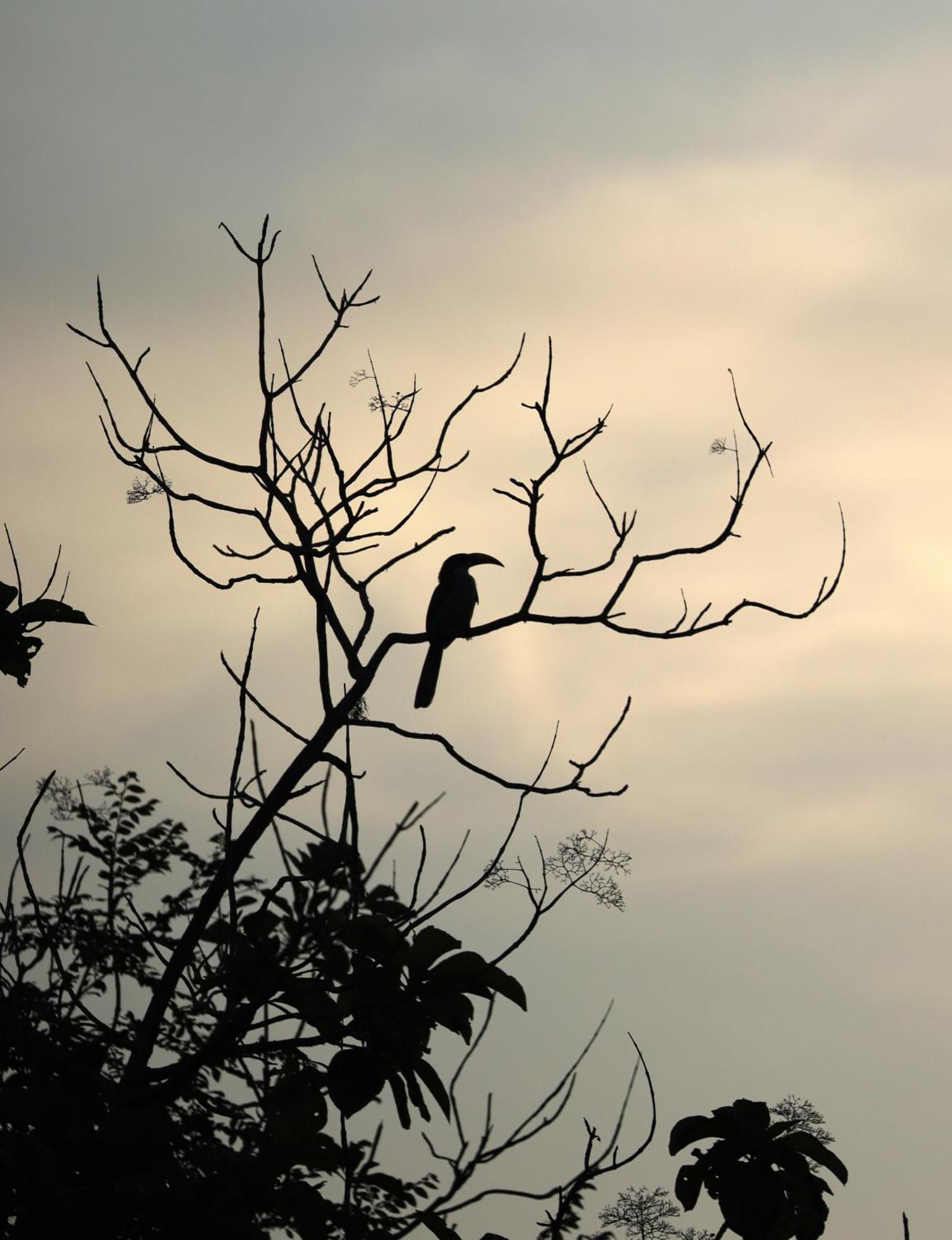 Three Little Birds Hotel Tangalle Luaran gambar